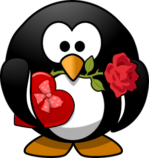 Tux with Valentine chocolates and rose